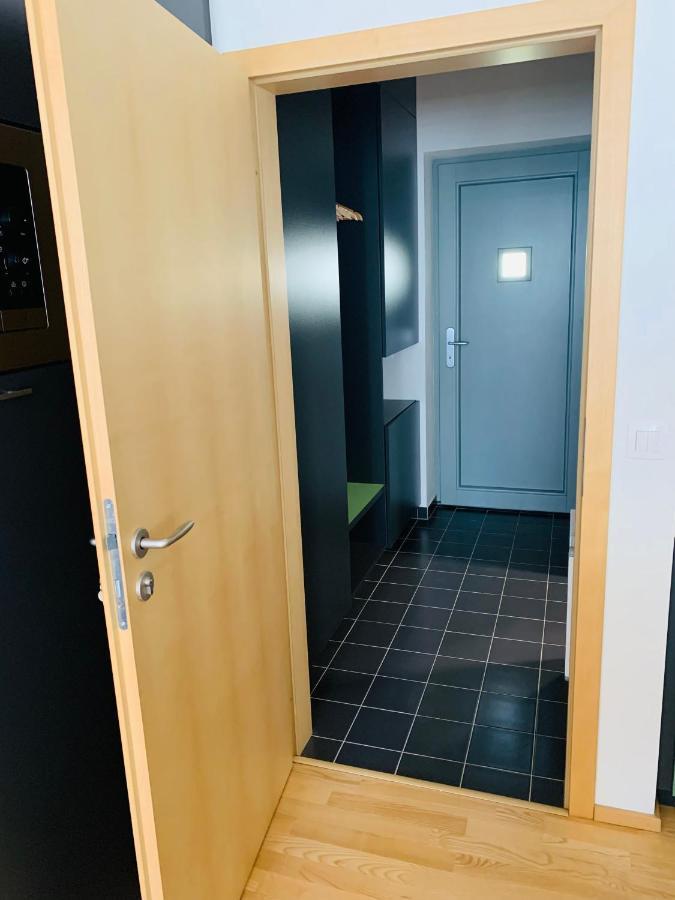 Dovolena Bez Starosti - Apartman U Venuse 巴甫洛夫 外观 照片