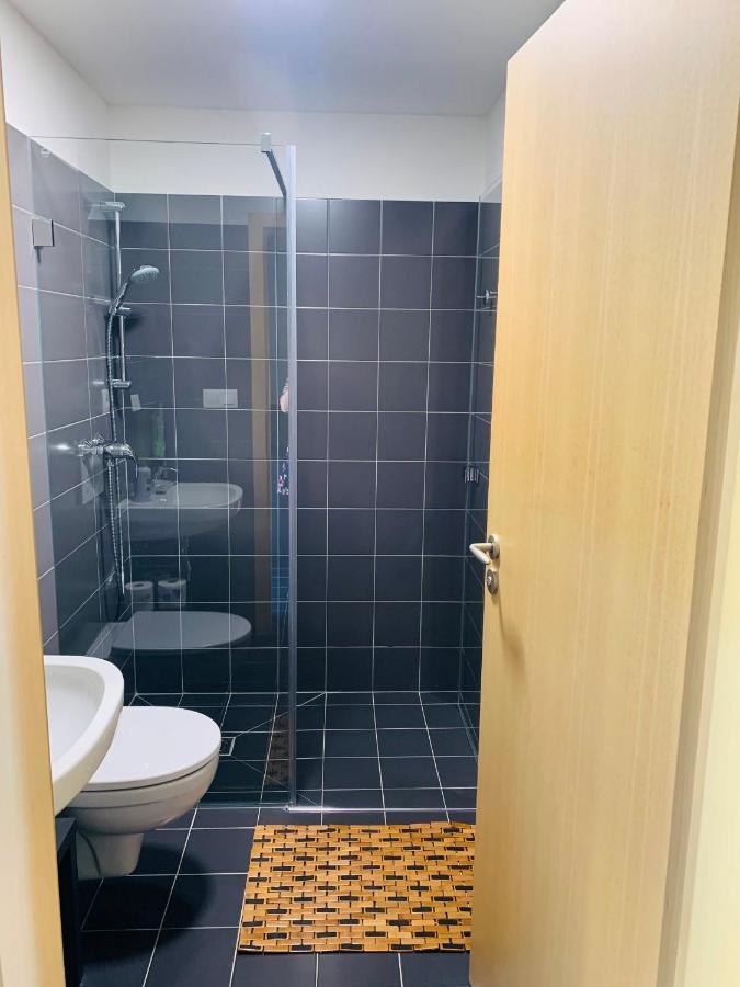 Dovolena Bez Starosti - Apartman U Venuse 巴甫洛夫 外观 照片