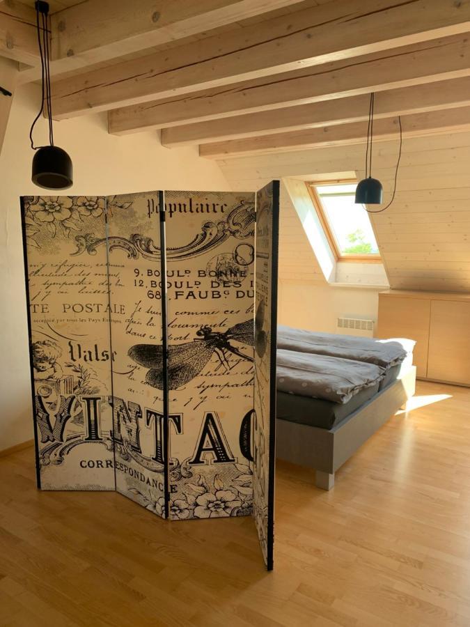Dovolena Bez Starosti - Apartman U Venuse 巴甫洛夫 外观 照片