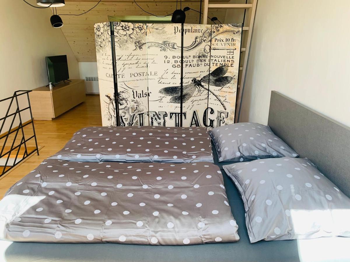 Dovolena Bez Starosti - Apartman U Venuse 巴甫洛夫 外观 照片