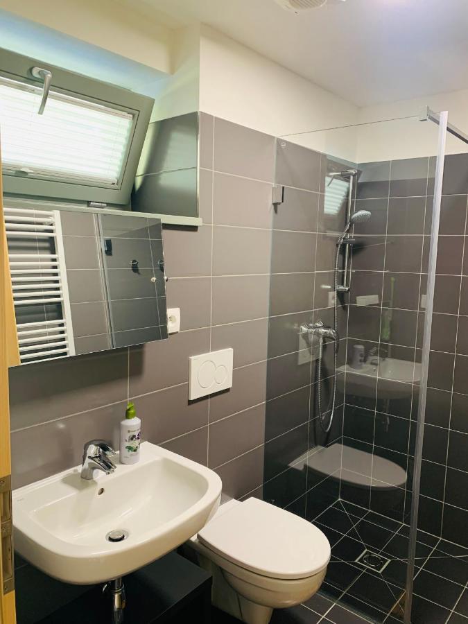 Dovolena Bez Starosti - Apartman U Venuse 巴甫洛夫 外观 照片
