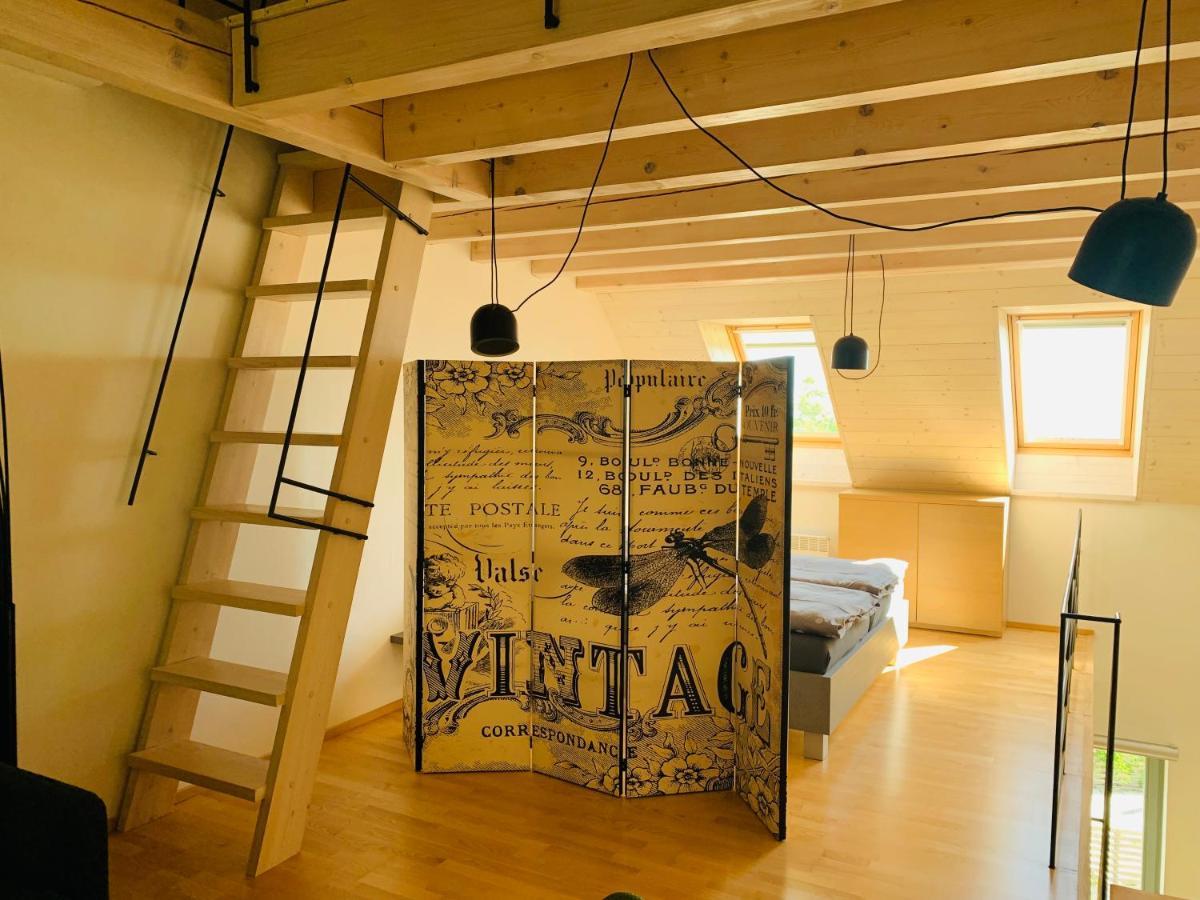 Dovolena Bez Starosti - Apartman U Venuse 巴甫洛夫 外观 照片