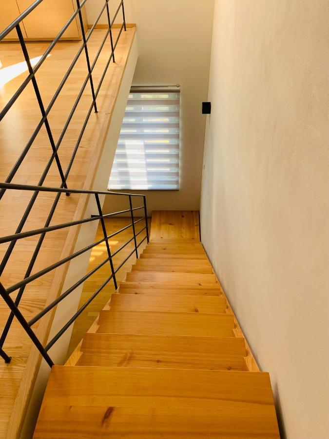 Dovolena Bez Starosti - Apartman U Venuse 巴甫洛夫 外观 照片