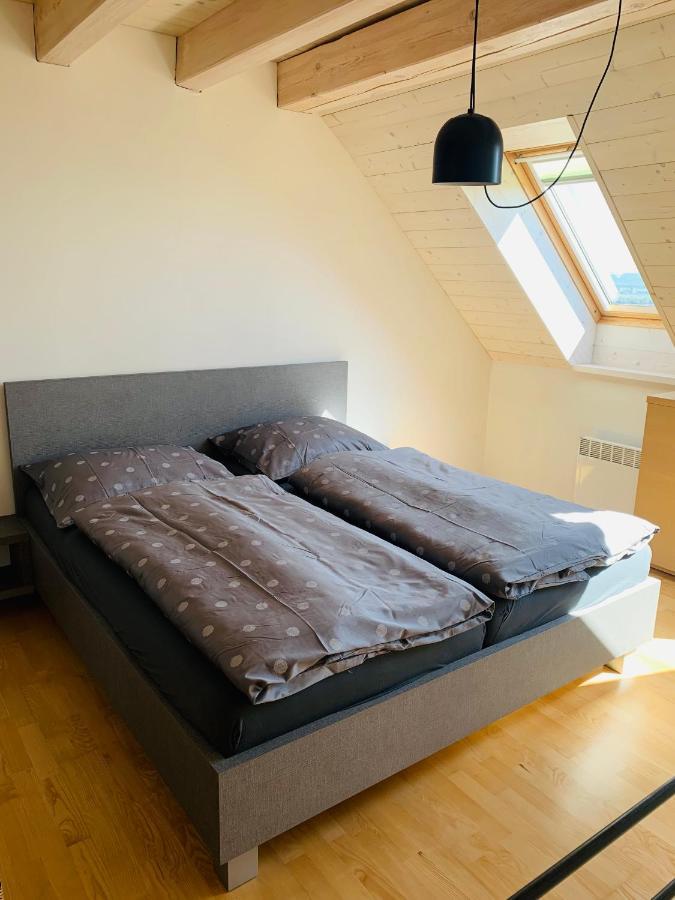 Dovolena Bez Starosti - Apartman U Venuse 巴甫洛夫 外观 照片