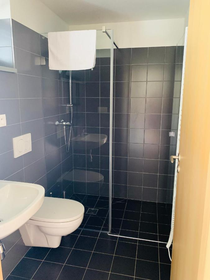Dovolena Bez Starosti - Apartman U Venuse 巴甫洛夫 外观 照片